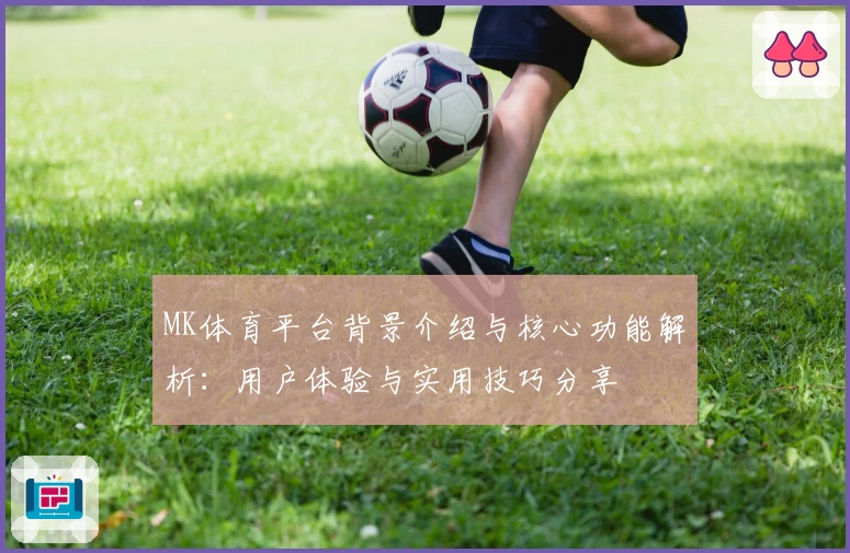 MK体育平台背景介绍与核心功能解析：用户体验与实用技巧分享